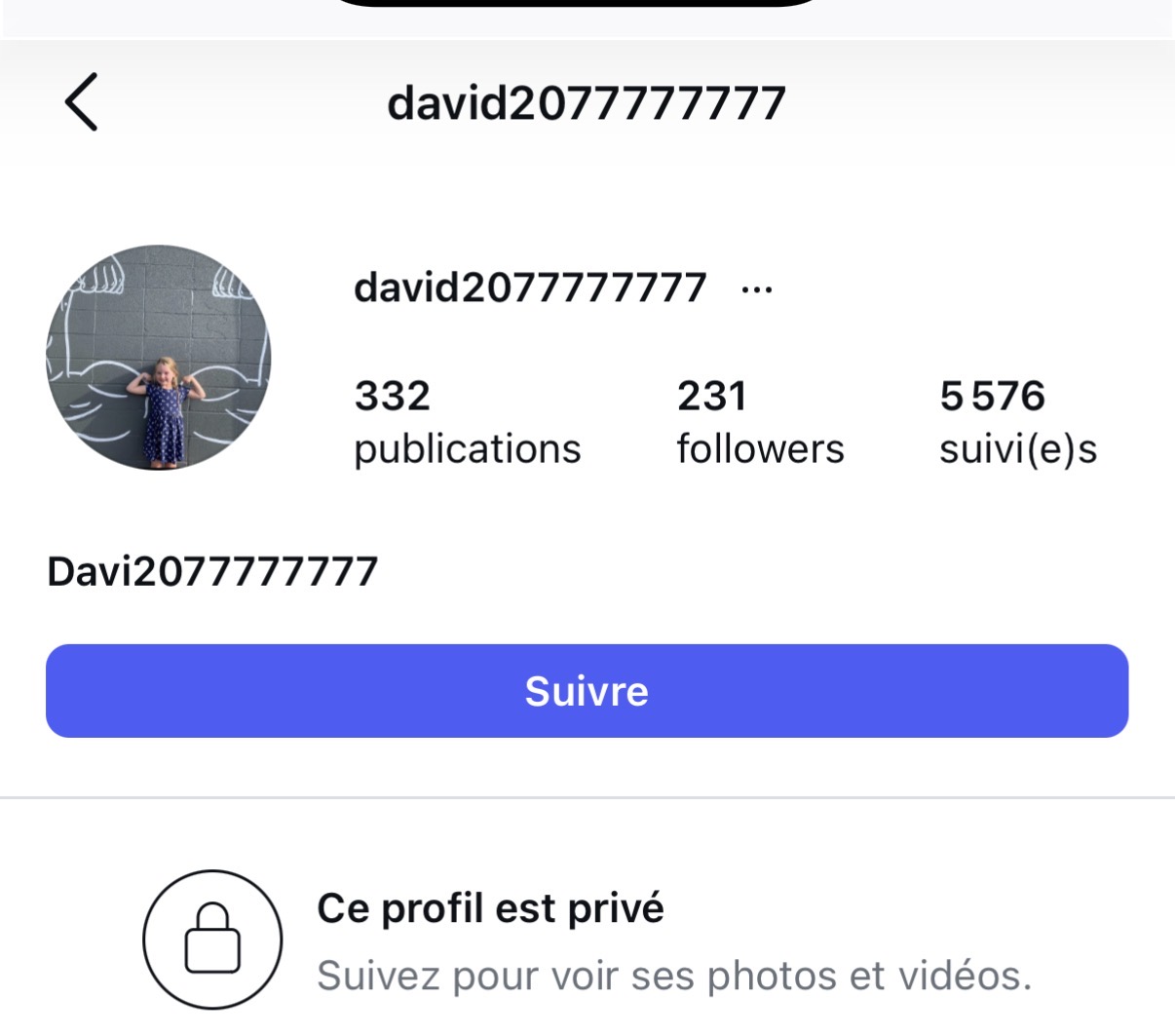 Example Instagram-style profile that illustrates bot-account patterns